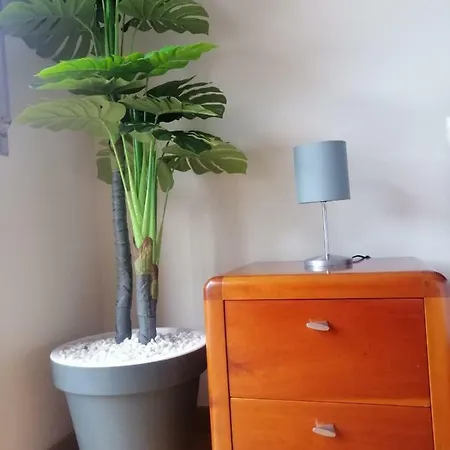 Lemon Tree Lejlighed