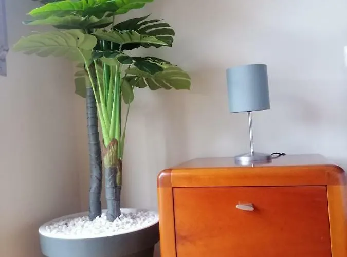 Lemon Tree Apartamento